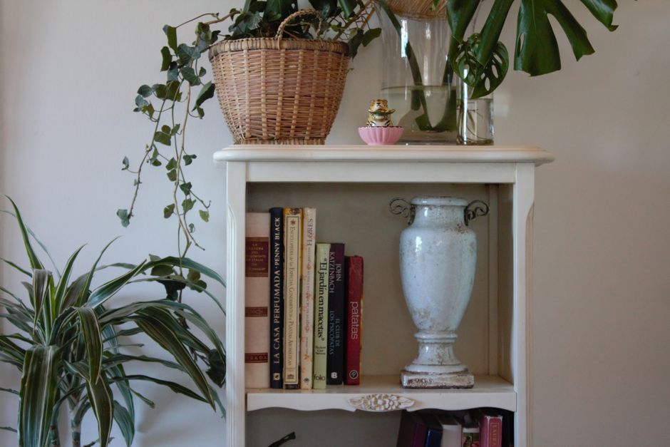 A wooden shelf with books, houseplants, and decorative items in a cozy room.